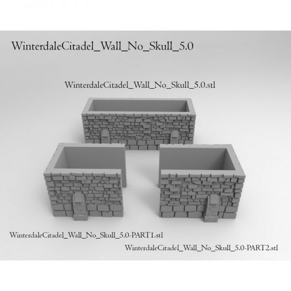 Winterdale Citadel Wall 5.0
