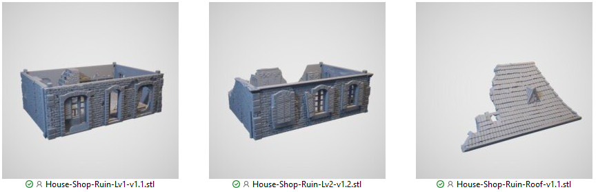 French House Shop Ruins STL