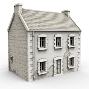 French Town House