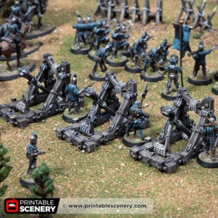 3d printed and painted catapault for dnd and wargaming