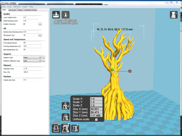 Mangrove Tree - Image 5