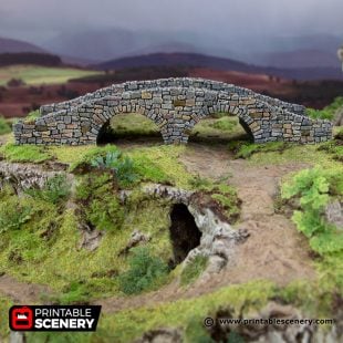 3D Printed Hagglethorn Hollow Bridge Age of Sigmar Dnd Dungeons and Dragons frostgrave mordheim tabletop games kings of war warhammer 9th age pathfinder rangers of shadowdeep
