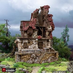 3D Printed Hagglethorn Hollow Ruined Hunters Lodge Age of Sigmar Dnd Dungeons and Dragons frostgrave mordheim tabletop games kings of war warhammer 9th age pathfinder rangers of shadowdeep