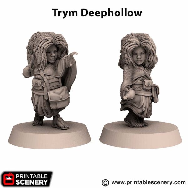 3d printed Trym Deephollow Reign of Arcane Rise of the halflings