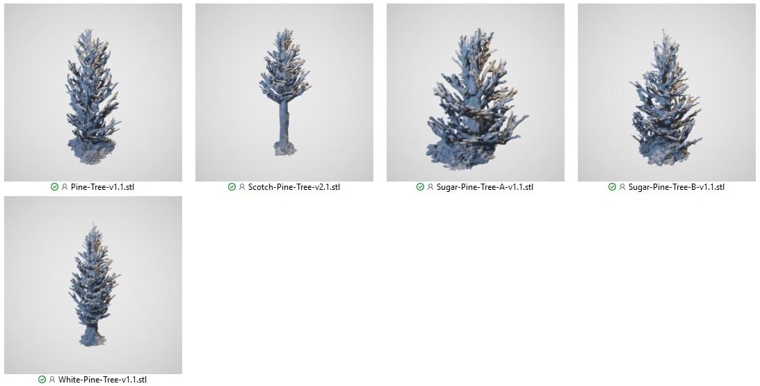Pine Tree, sugar pine, Scotch pine, White pine 3d print file