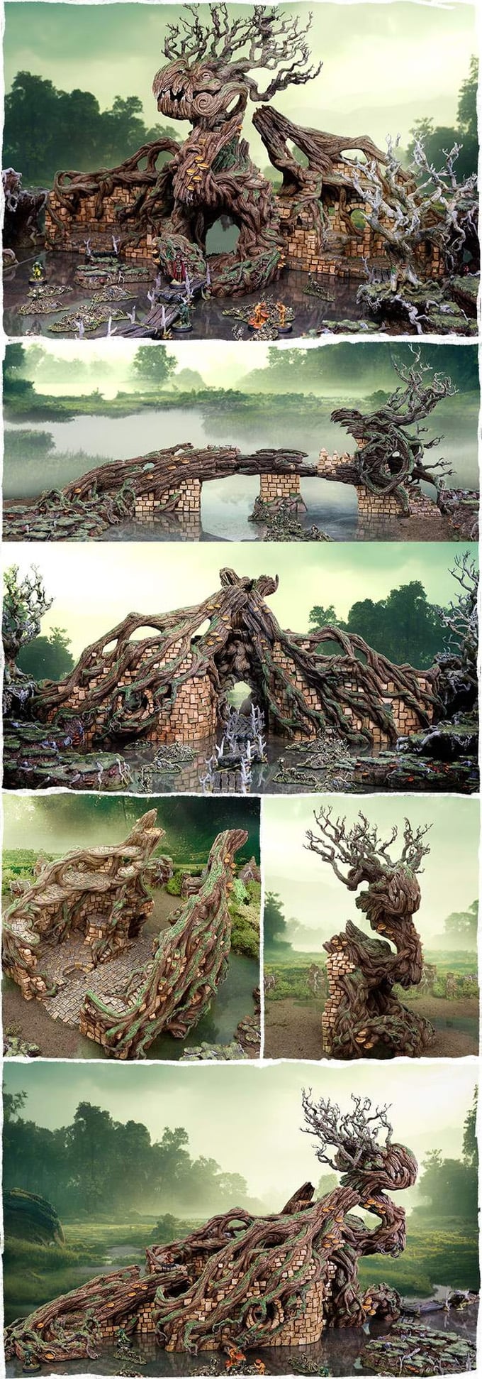 Collage of gloaming swamps photos