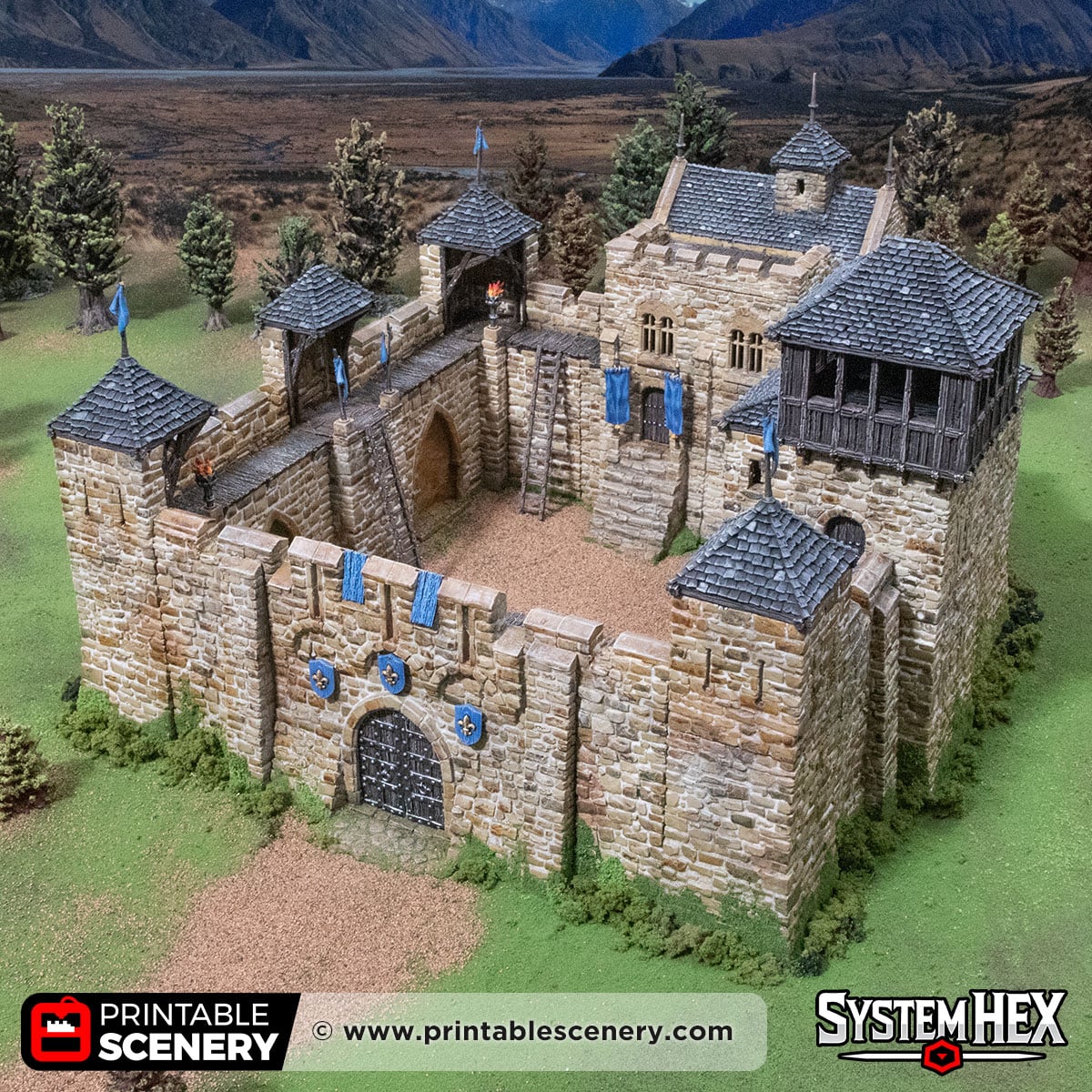 3D printed and Painted Castle Liness for the Pillage wargame