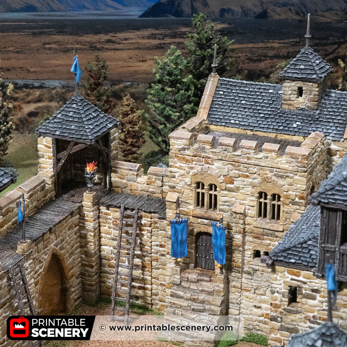 3D printed and Painted Castle Liness for the Pillage wargame