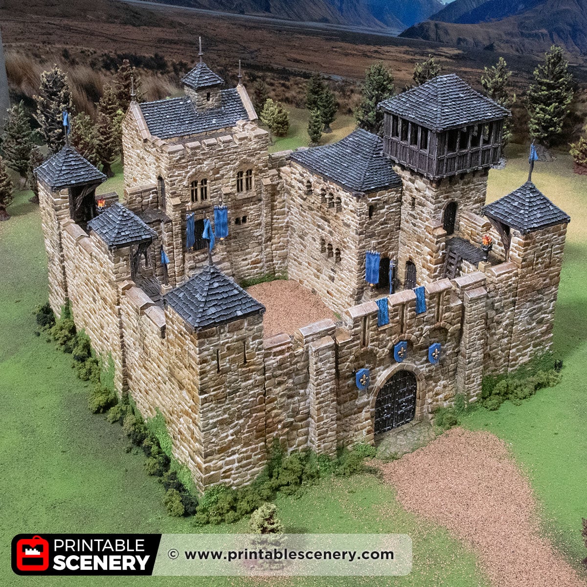 3D printed and Painted Castle Liness for the Pillage wargame